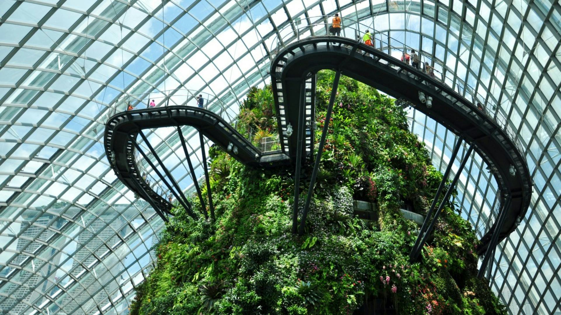 Cloud Forest in Singapore. Beeld Shutterstock