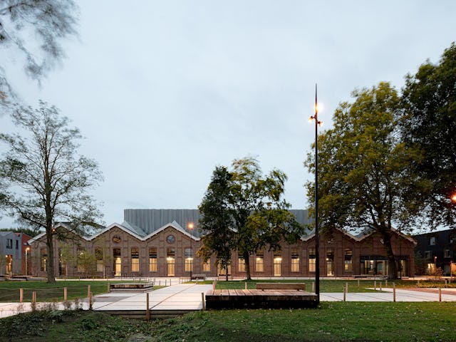 Beeld Sebastian van Damme