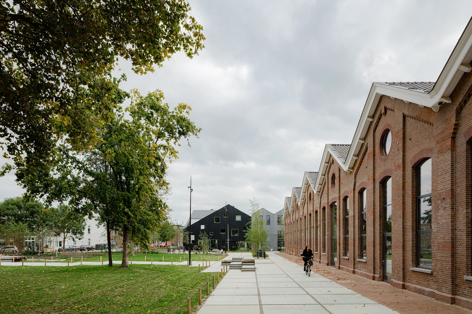 Beeld Sebastian van Damme