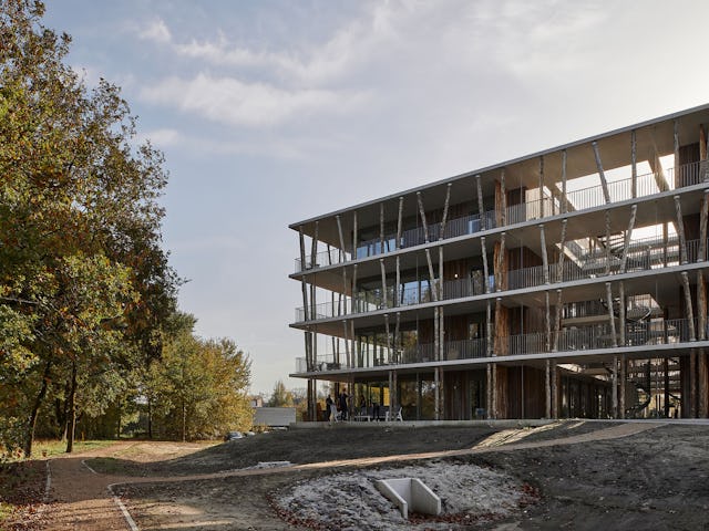 Beeld Max Hart Nibbrig