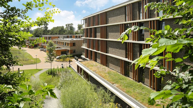 Beeld MIX architectuur