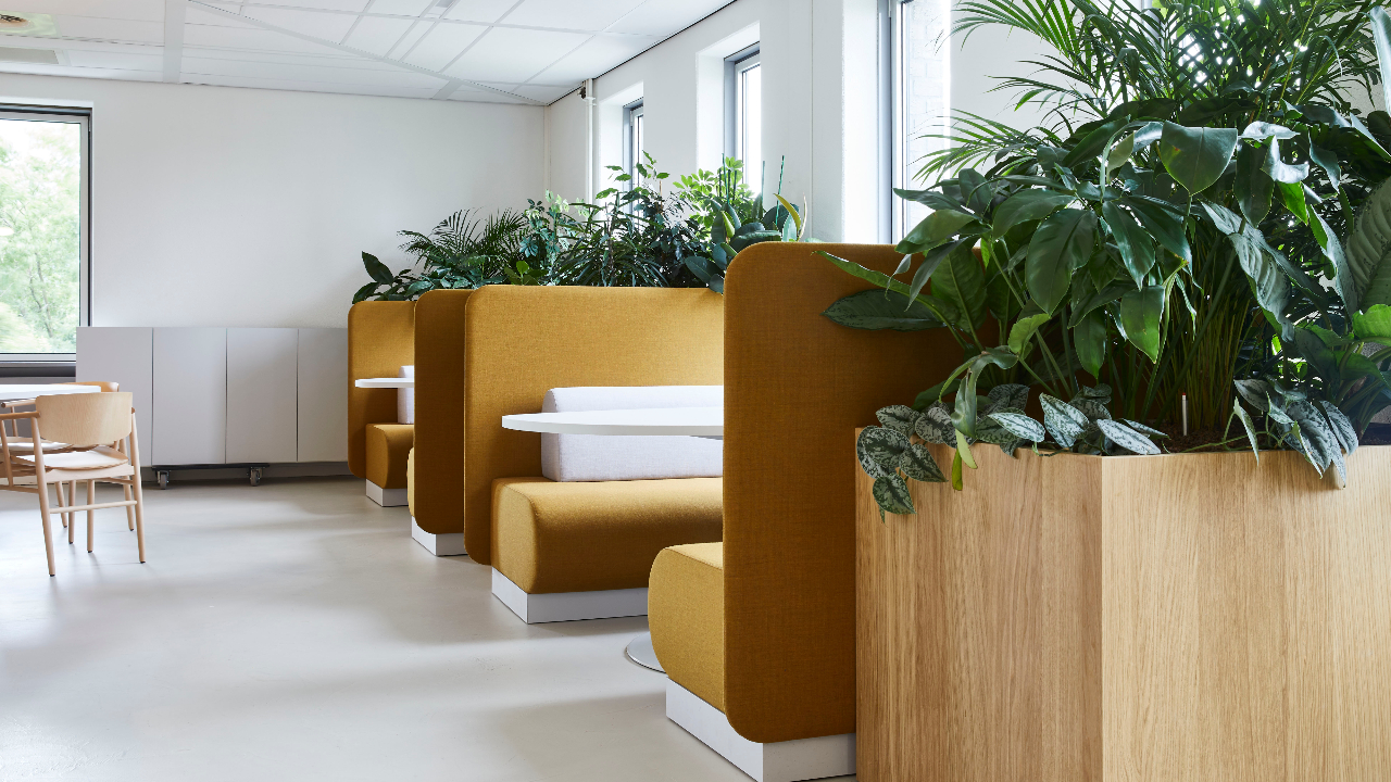 Beeld Alexander van Berge