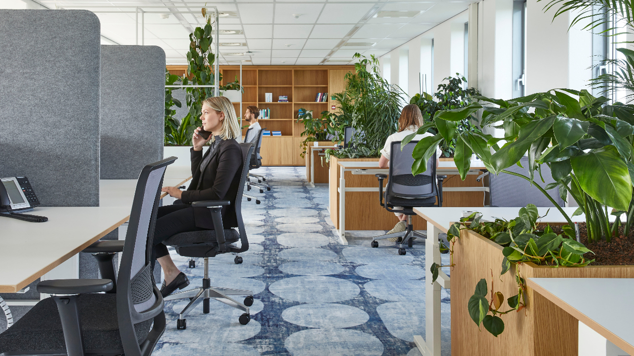 Beeld Alexander van Berge