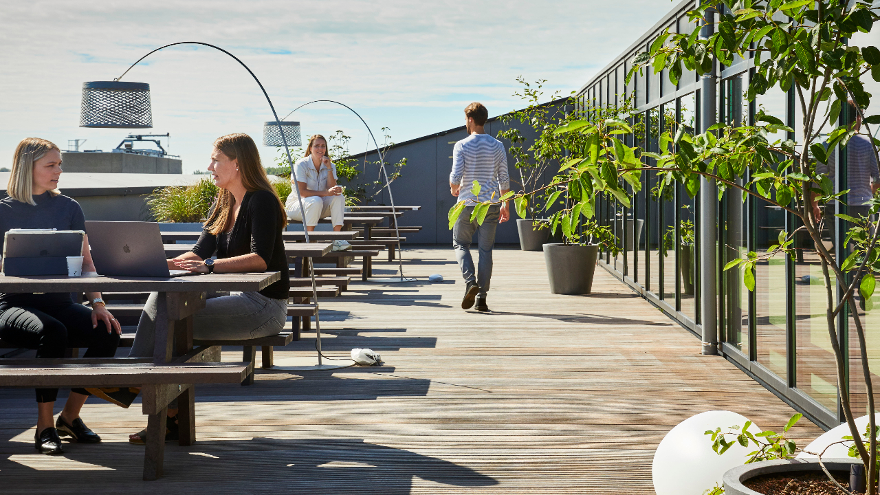 Beeld Alexander van Berge