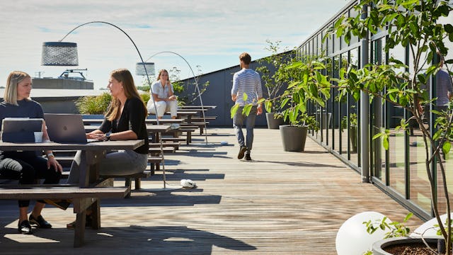 Beeld Alexander van Berge