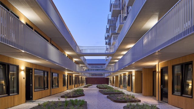 Beeld De Zwarte Hond, Ronald Tilleman en Saartje Nibbering