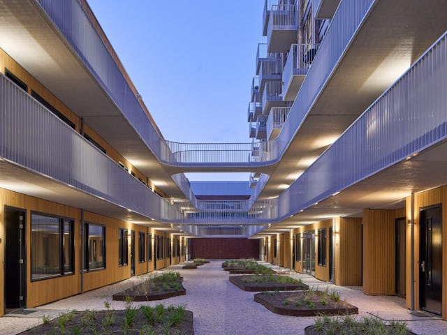 Beeld De Zwarte Hond, Ronald Tilleman en Saartje Nibbering