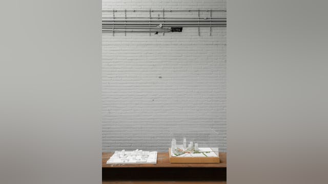 Beeld Sebastian van Damme