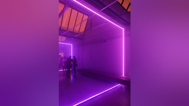 Beeld Sebastian van Damme