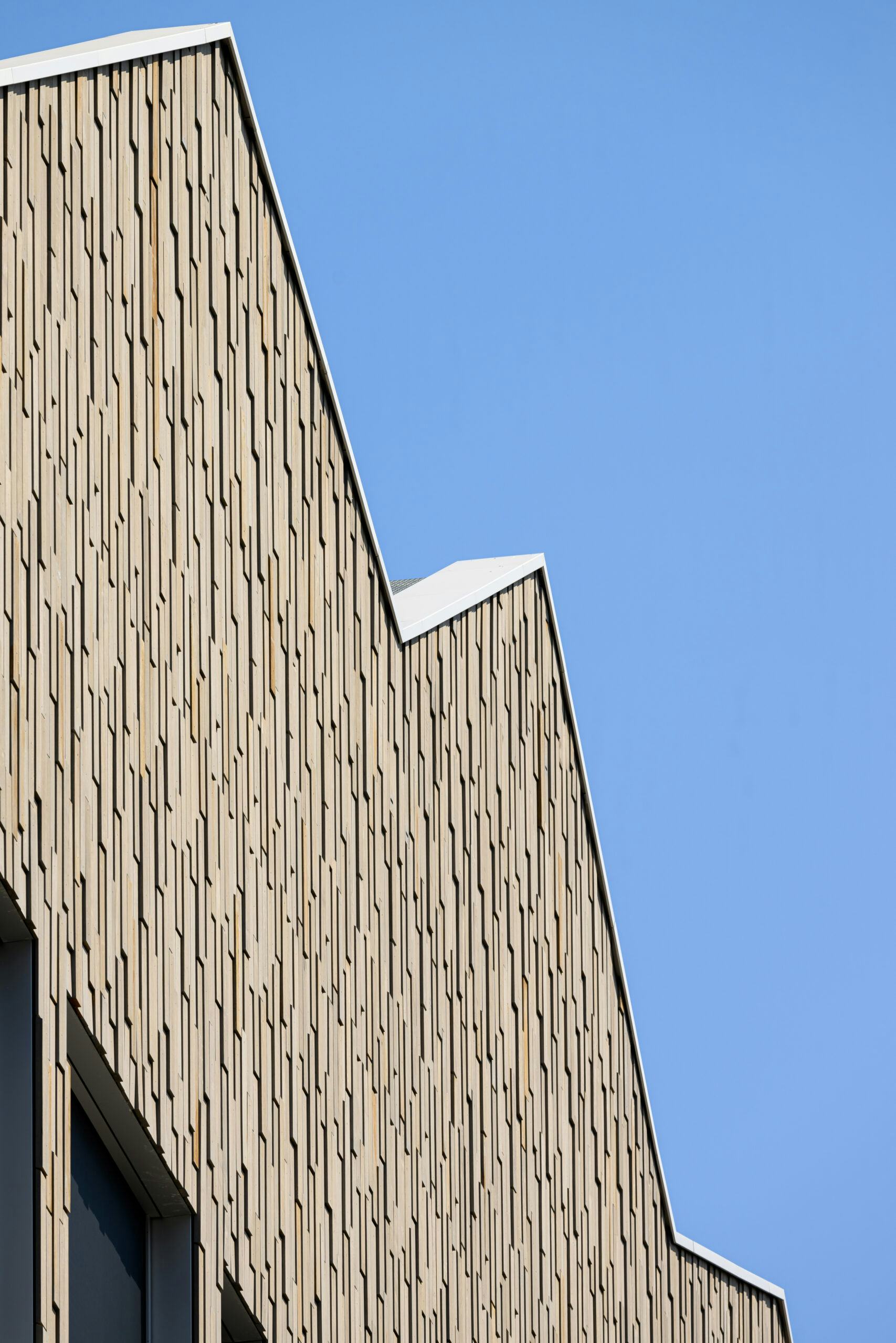 Detail exterieur. Beeld Arjen Veldt