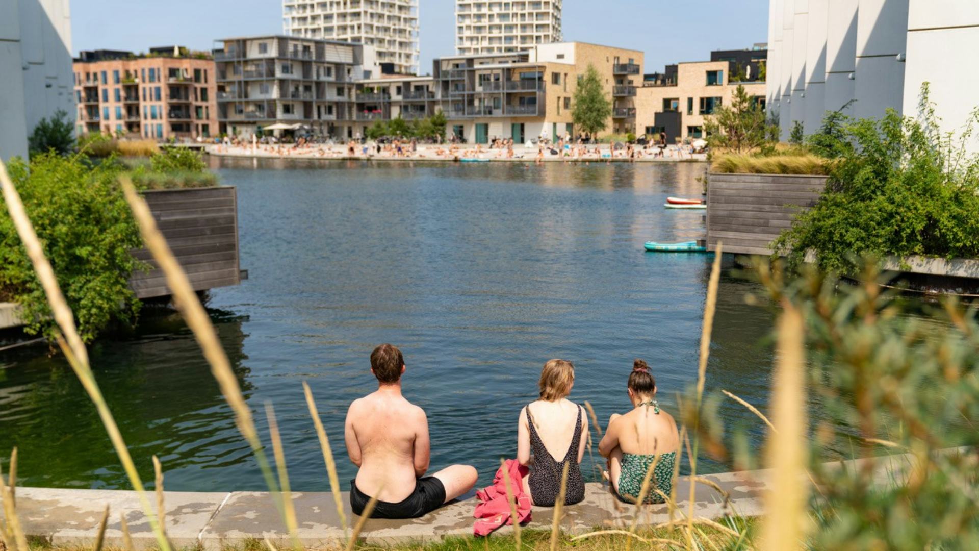 Must-reads: Zwemmen in de Rotterdamse haven: hoe eerder hoe beter