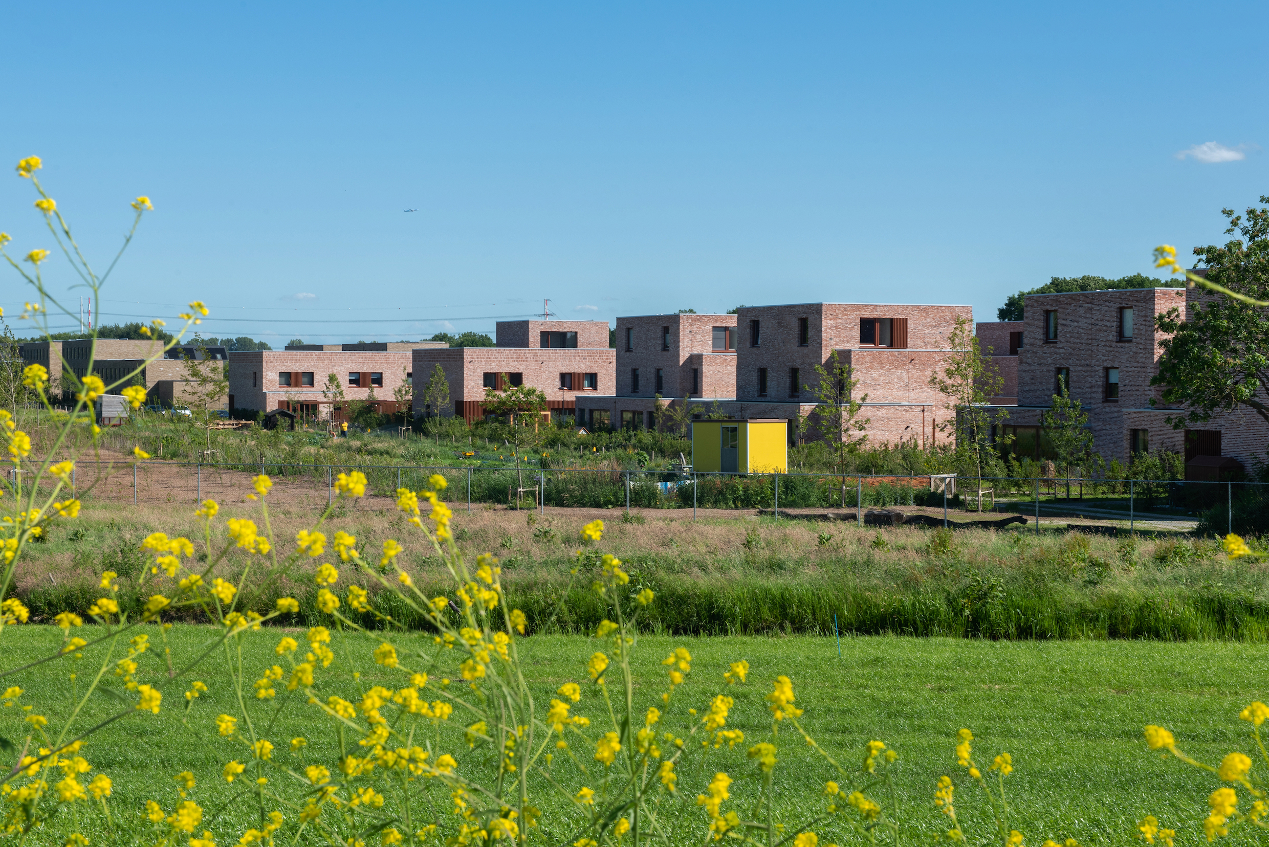 Beeld Aiste Rakauskaite