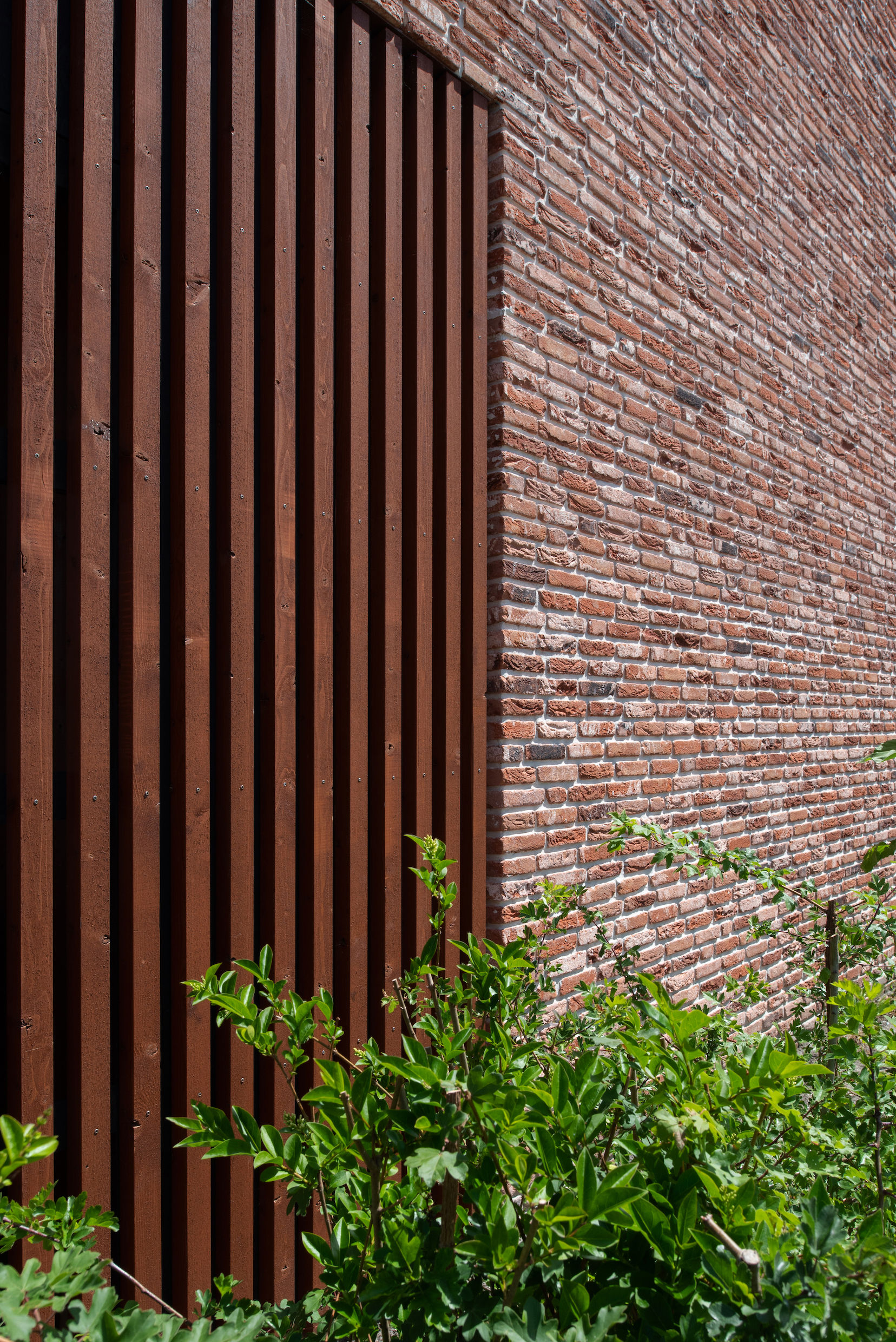 Beeld Aiste Rakauskaite