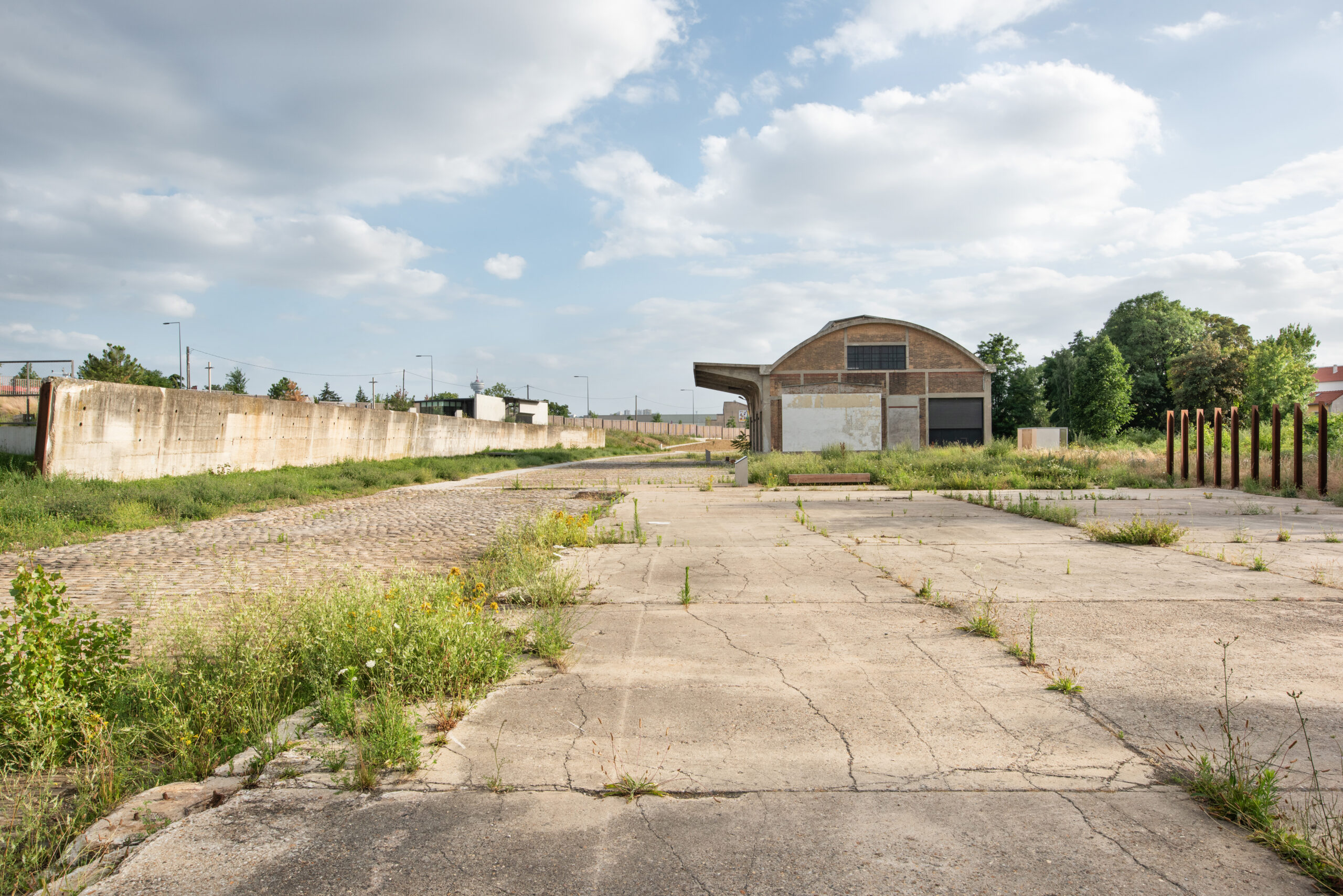 Contrast tussen bestrating en beplanting. Beeld Karolina Samborska