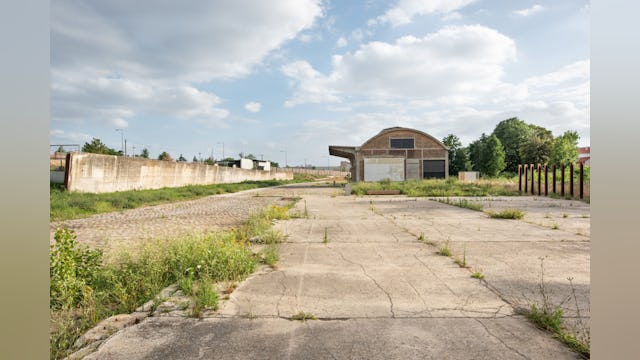 Contrast tussen bestrating en beplanting. Beeld Karolina Samborska