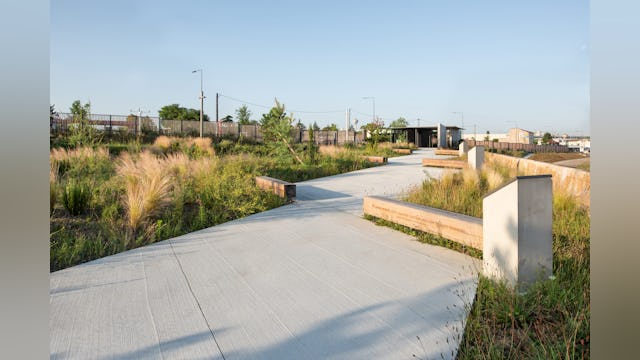 Sterk contrast tussen materiaal en beplanting. Beeld Karolina Samborska