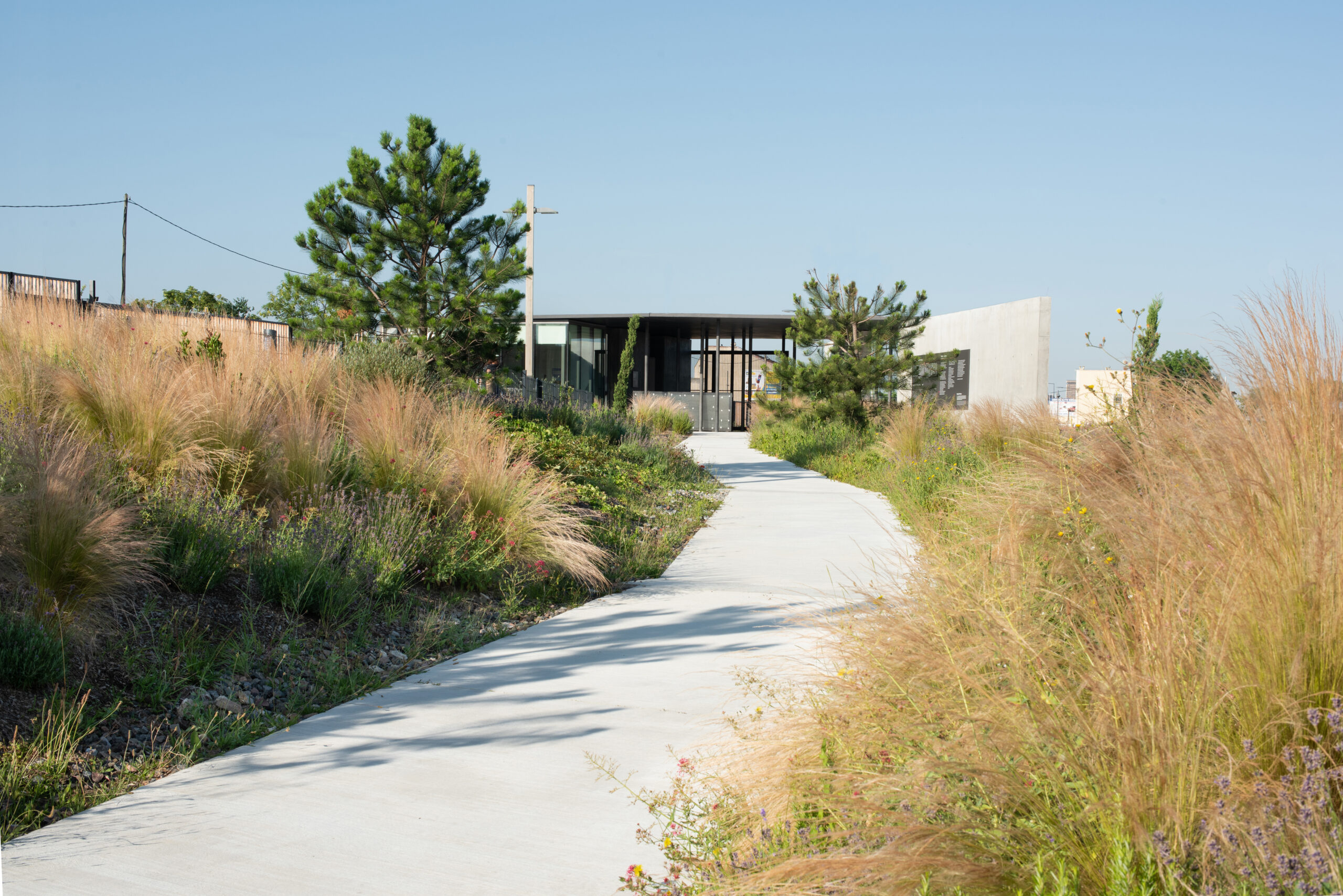 Pad naar het entreegebouw. Beeld Karolina Samborska