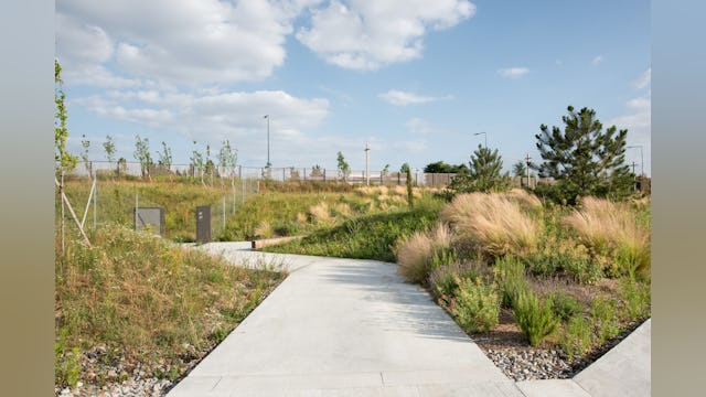 Uitgegraven gebied. Beeld Karolina Samborska