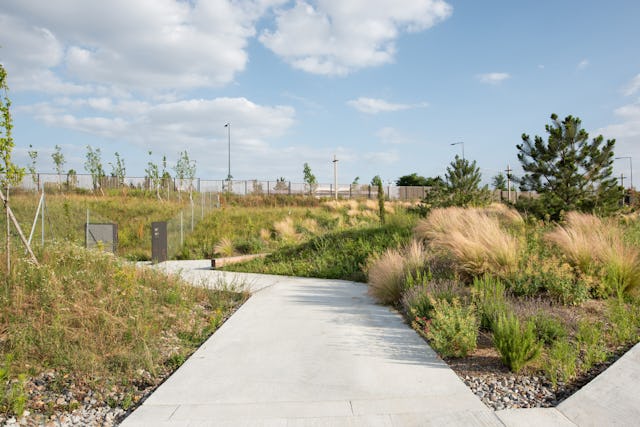 Uitgegraven gebied. Beeld Karolina Samborska