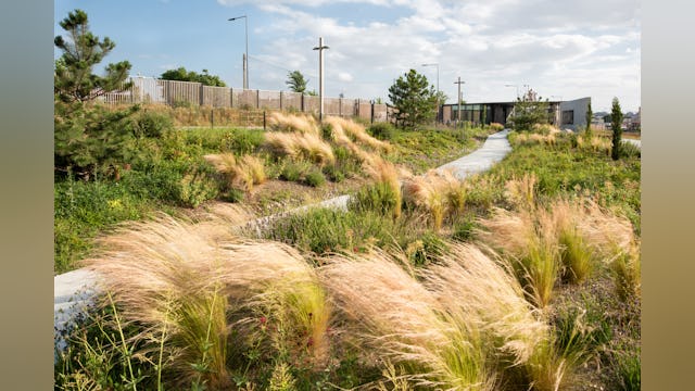 Esplanade in de zomer met het gedenkhek. Beeld Karolina Samborska