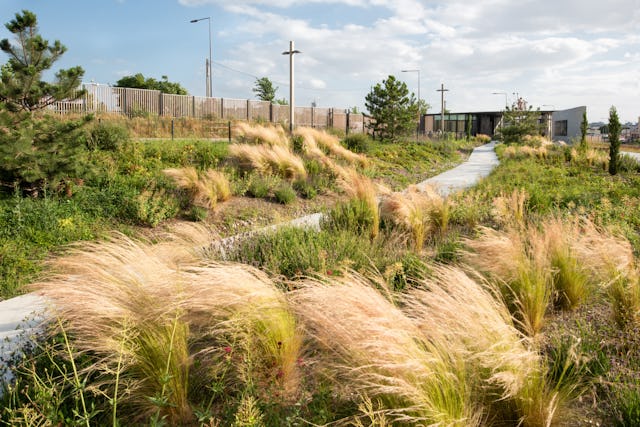 Esplanade in de zomer met het gedenkhek. Beeld Karolina Samborska