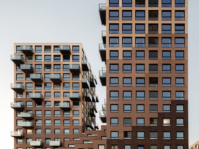 Beeld Sebastian van Damme