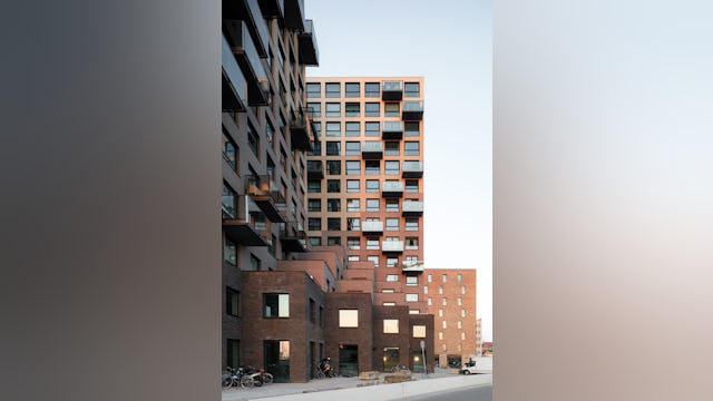 Beeld Sebastian van Damme