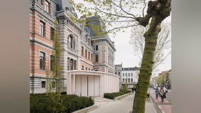 Beeld Stijn Bollaert