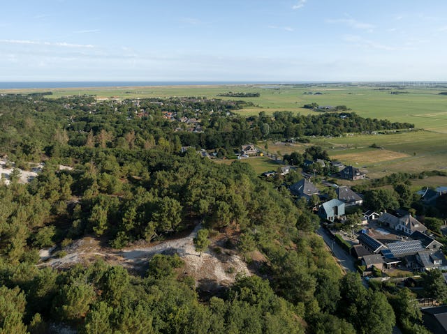 Beeld Ossip van Duivenbode