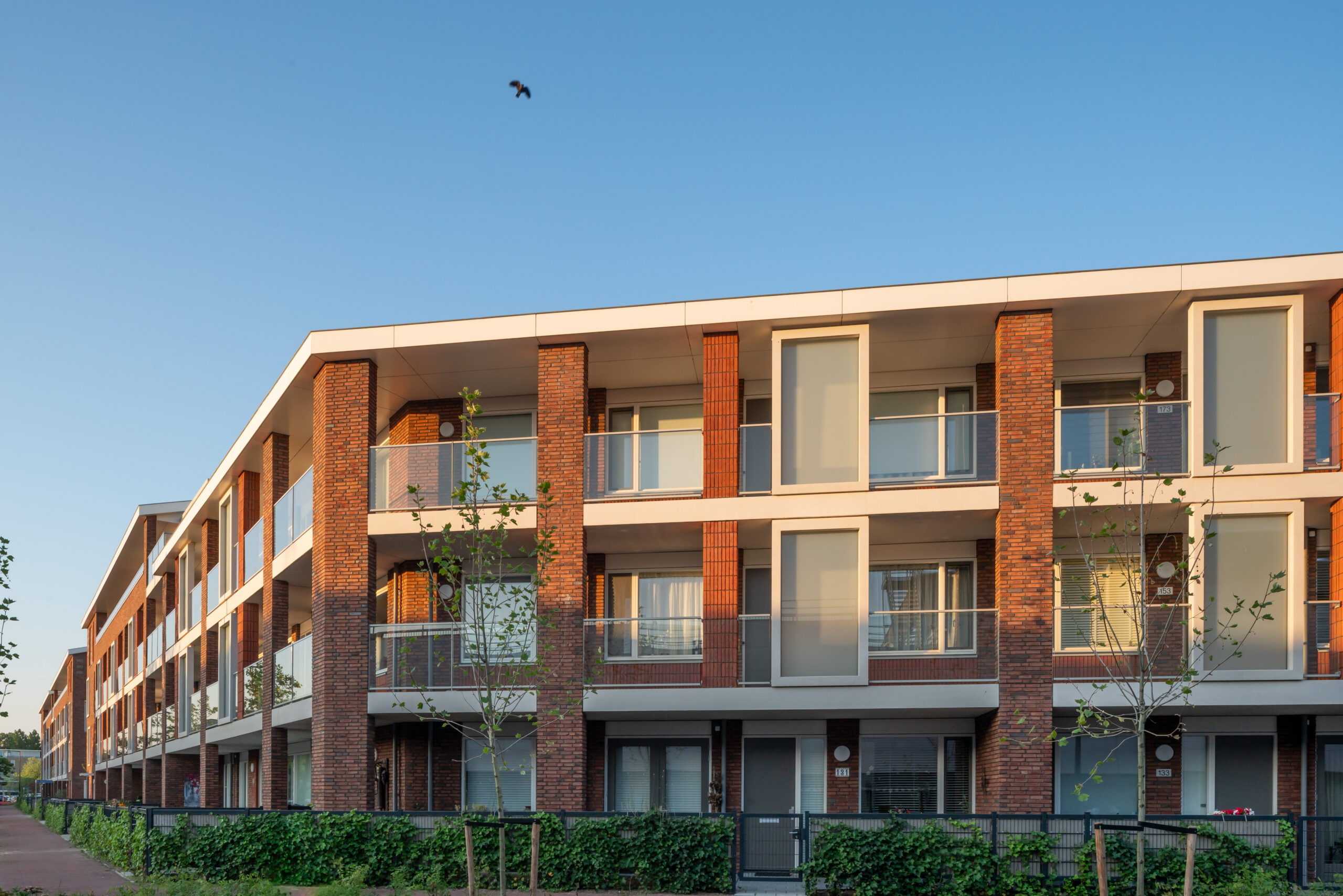 Mr. Lohmanstraat. Beeld Jannes Linders