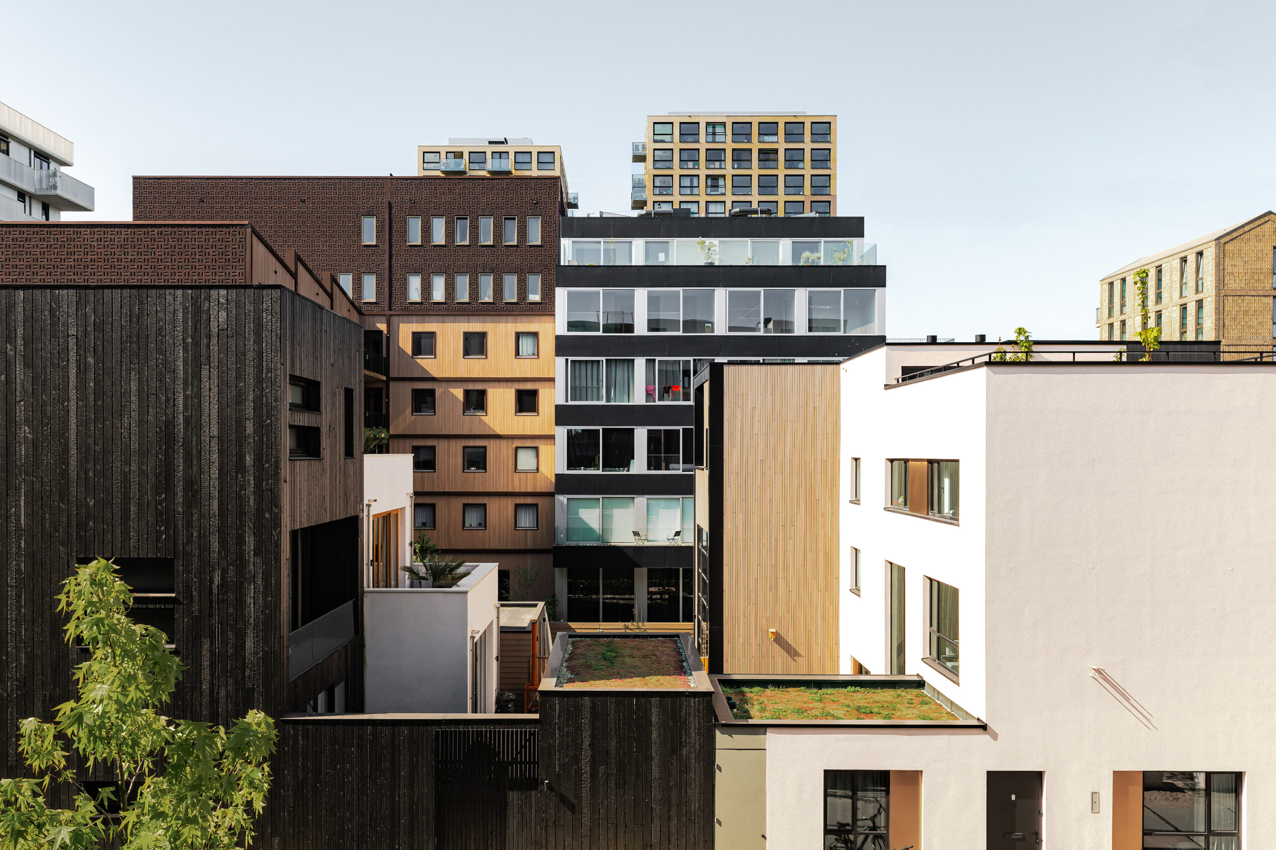 YCON. Beeld Sebastian van Damme