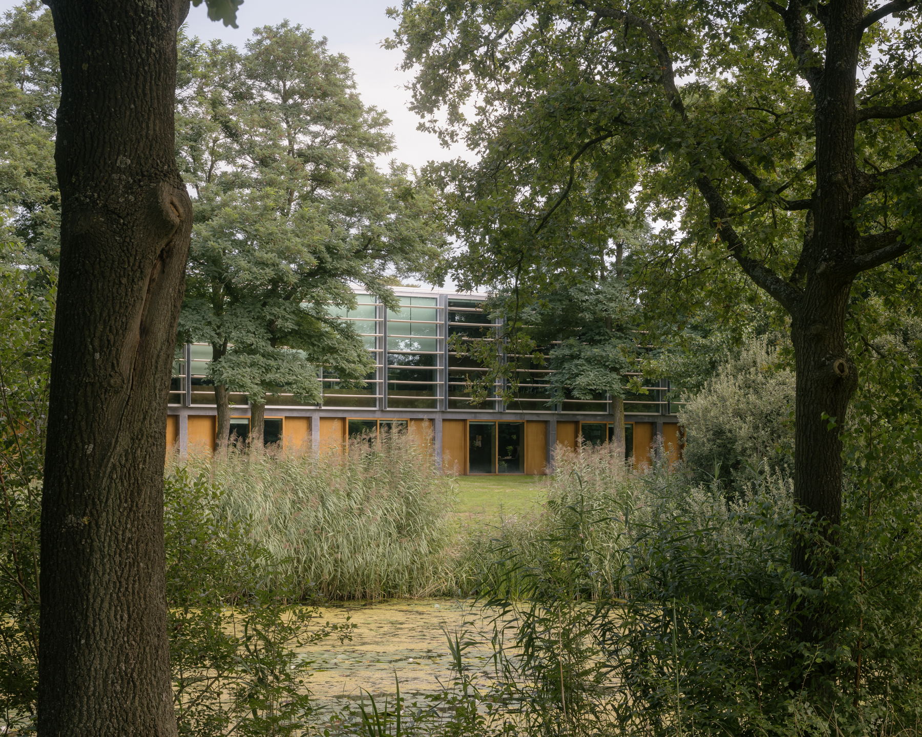 Beeld Stijn Bollaert