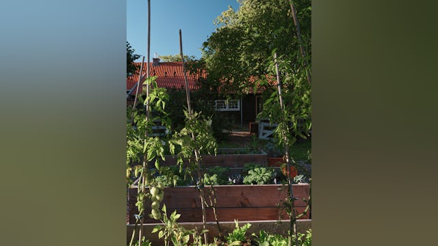 Beeld Maarten Willemstein