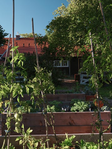 Beeld Maarten Willemstein