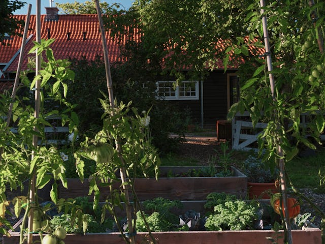 Beeld Maarten Willemstein