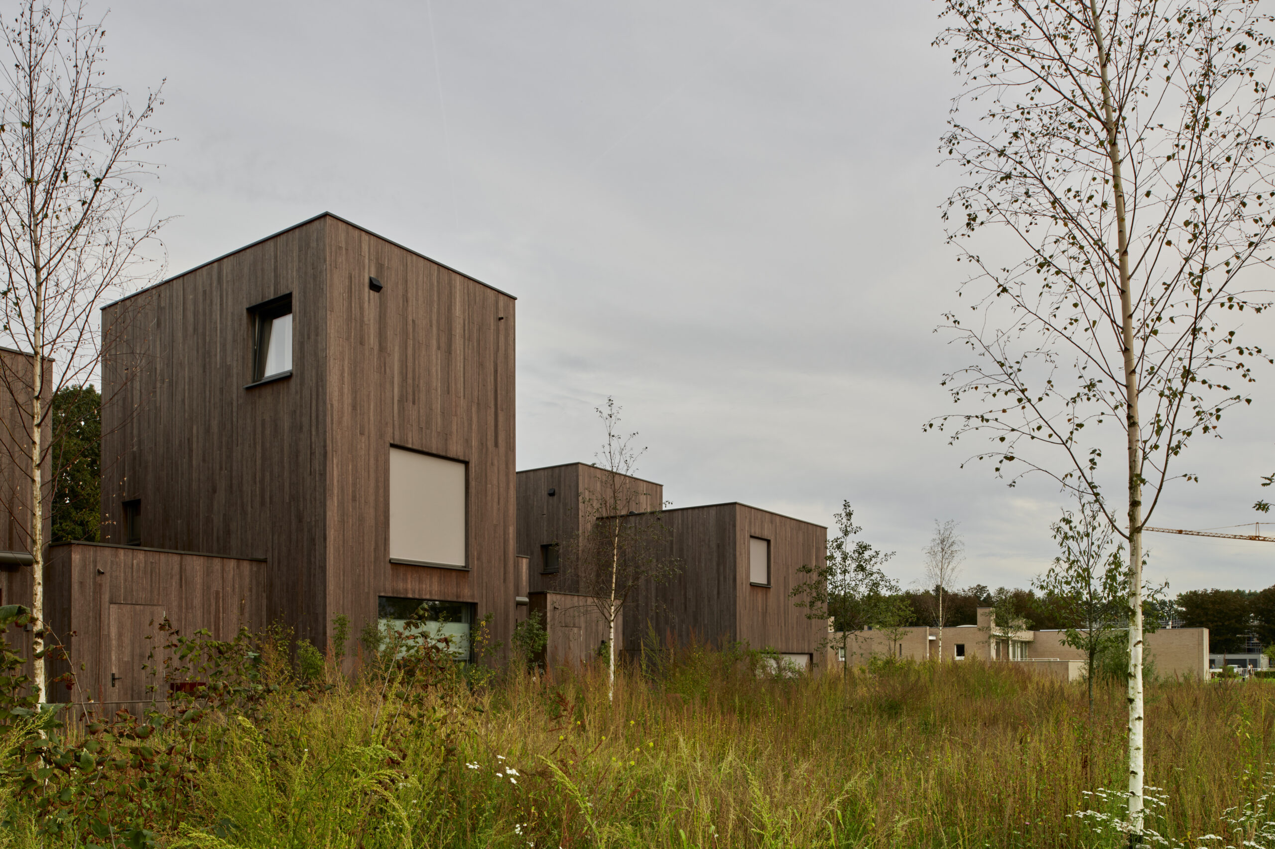 Beeld MWA Hart Nibbrig