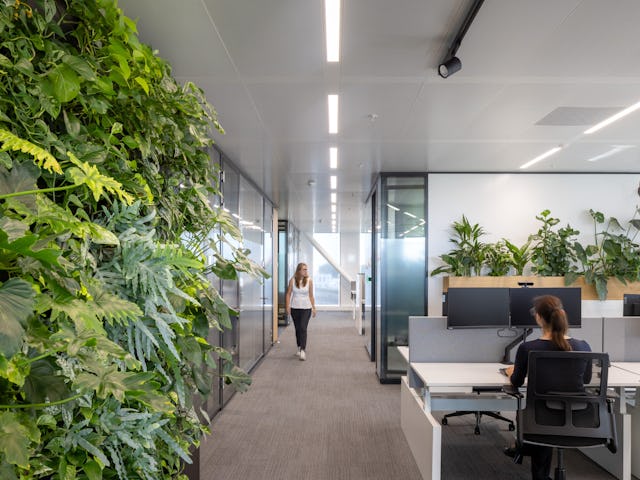 Accelerator Utrecht. Beeld Lucas van der Wee