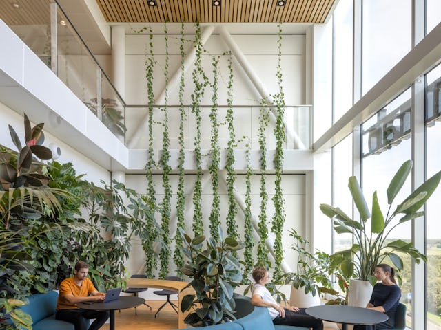 Accelerator Utrecht. Beeld Lucas van der Wee