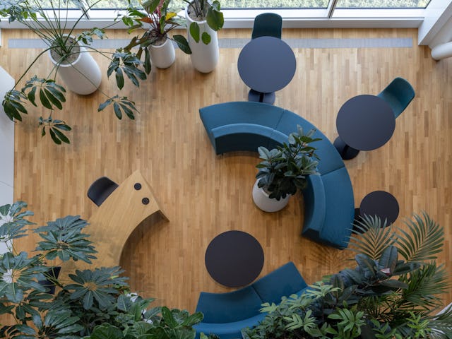 Accelerator Utrecht. Beeld Lucas van der Wee