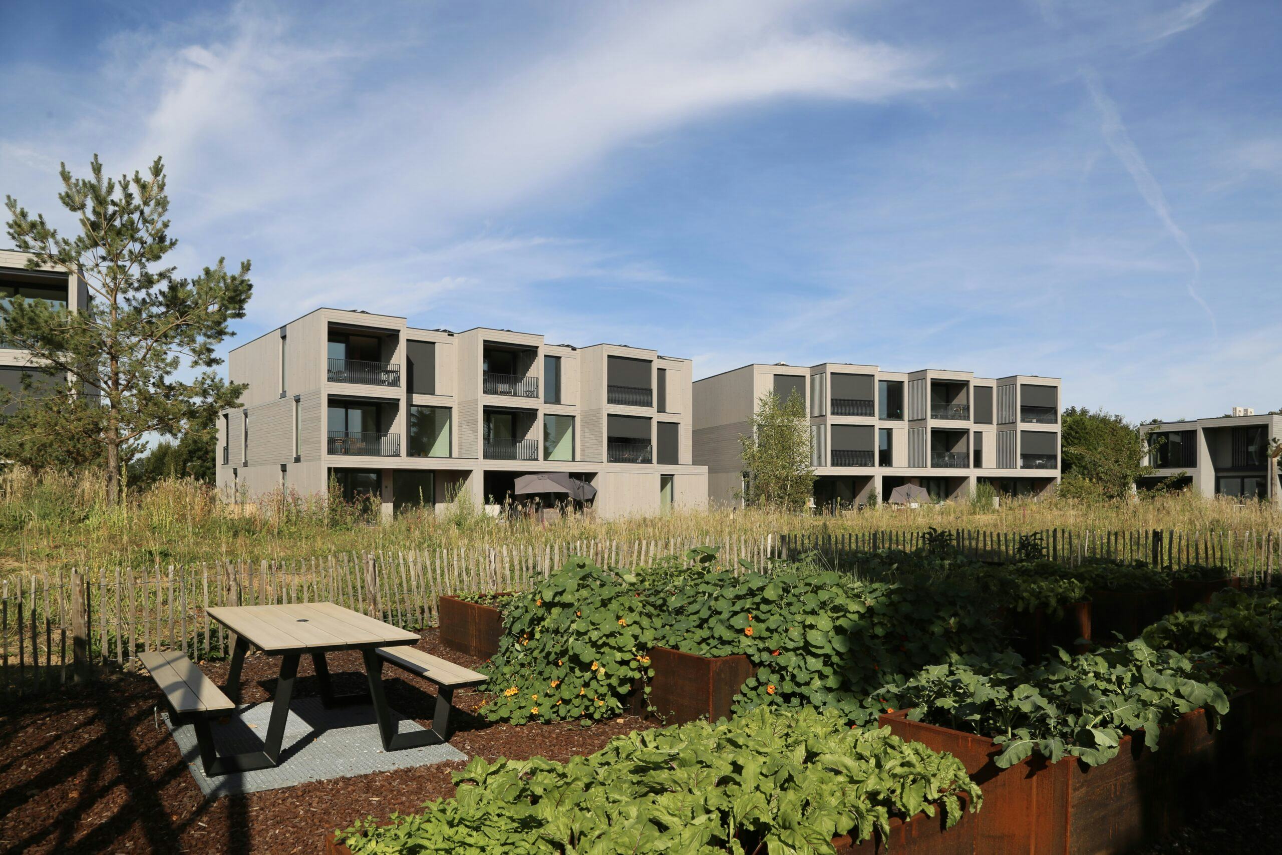 De modulaire woningen van Rivierduinen in Silvolde, naar ontwerp van Mix architectuur, met op de voorgrond de gemeenschapstuin. Beeld Mix Architectuur