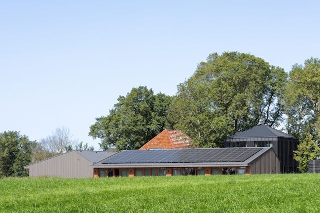 Beeld Stijn Poelstra