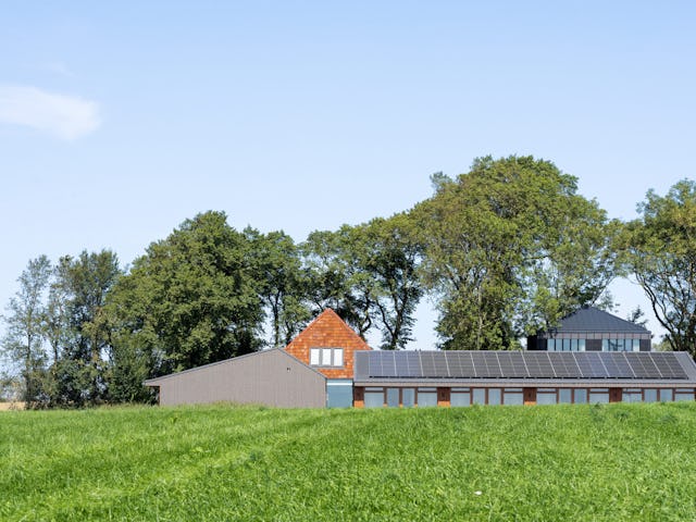 Beeld Stijn Poelstra