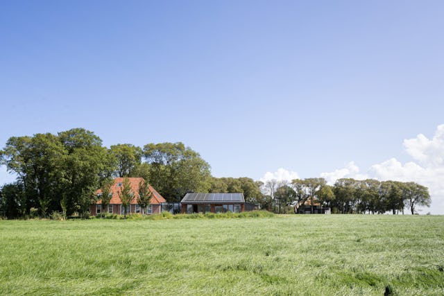 Beeld Stijn Poelstra