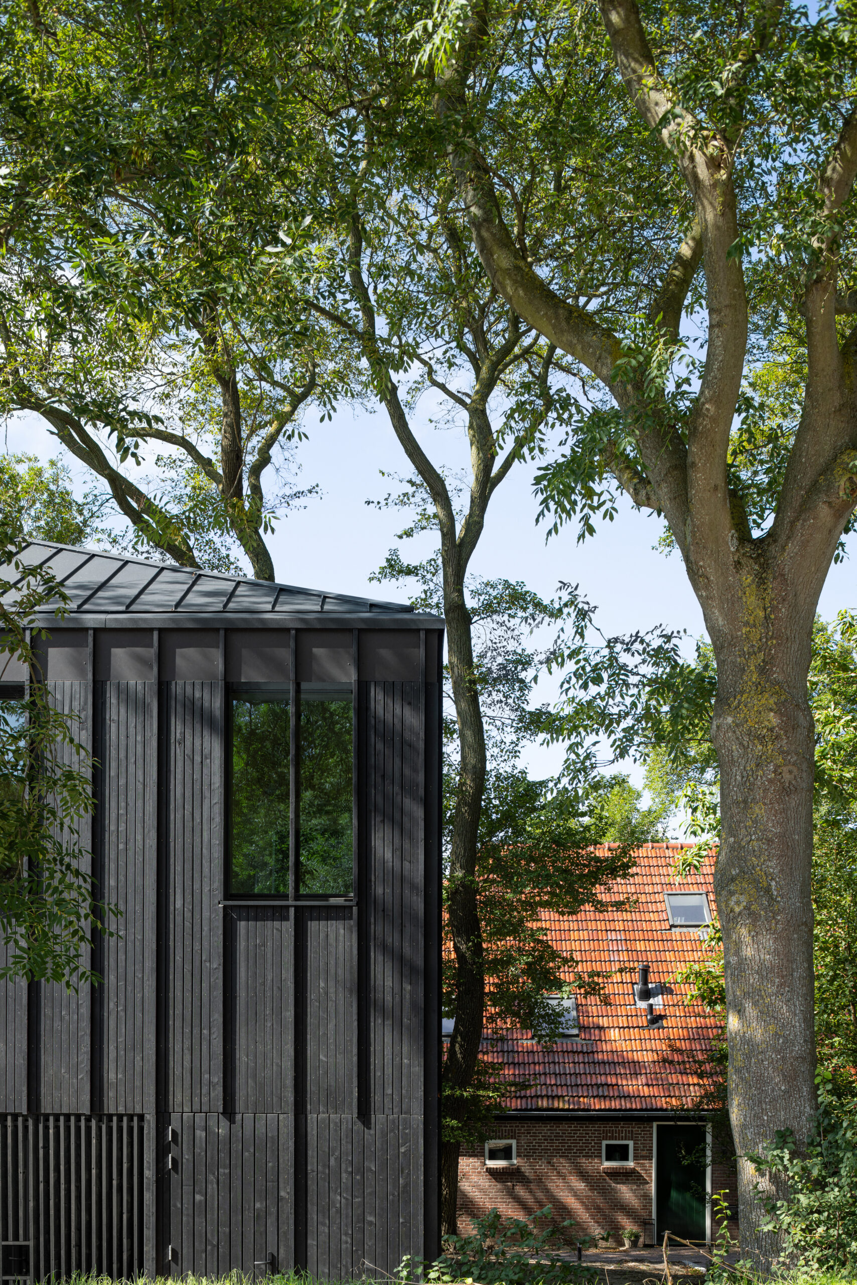 Beeld Stijn Poelstra