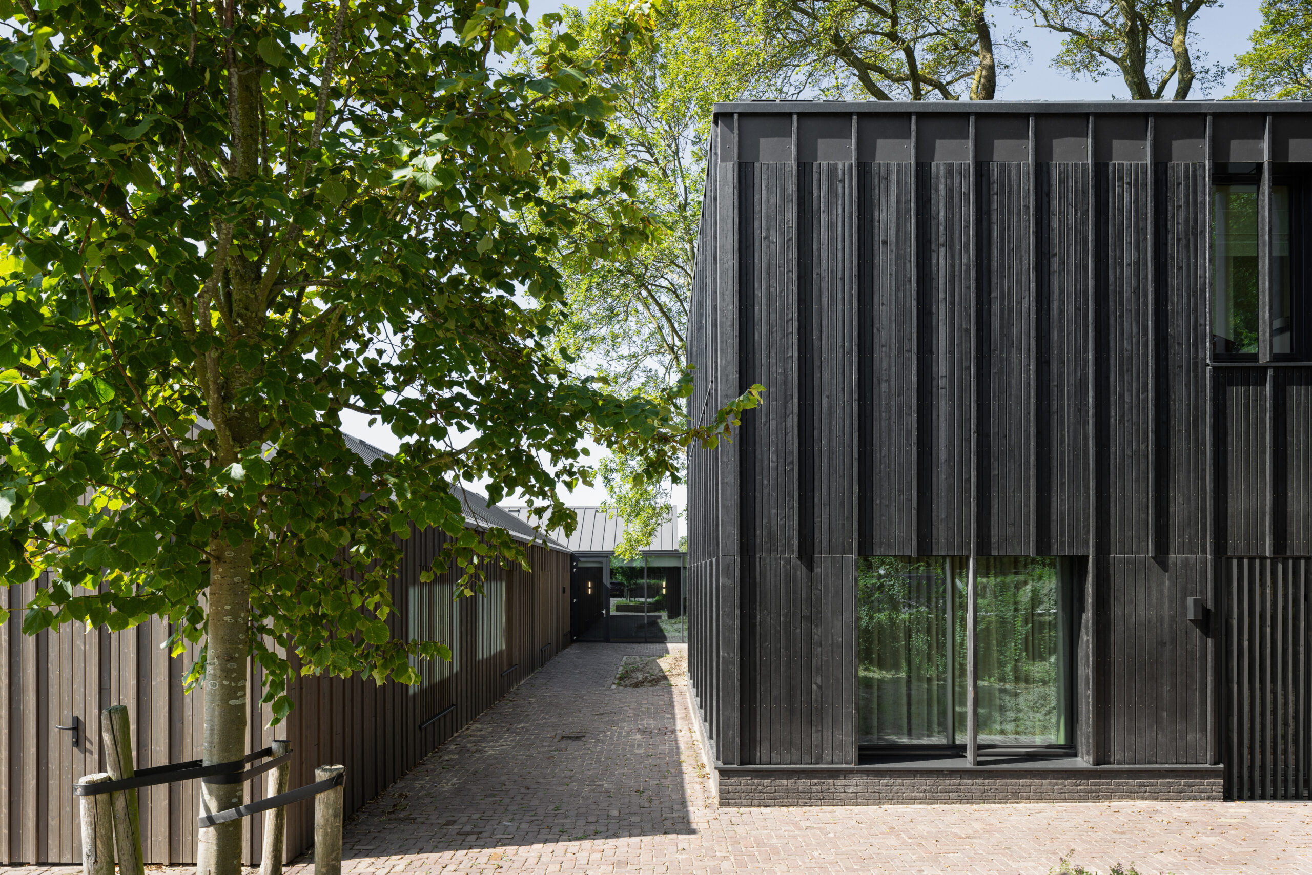 Beeld Stijn Poelstra