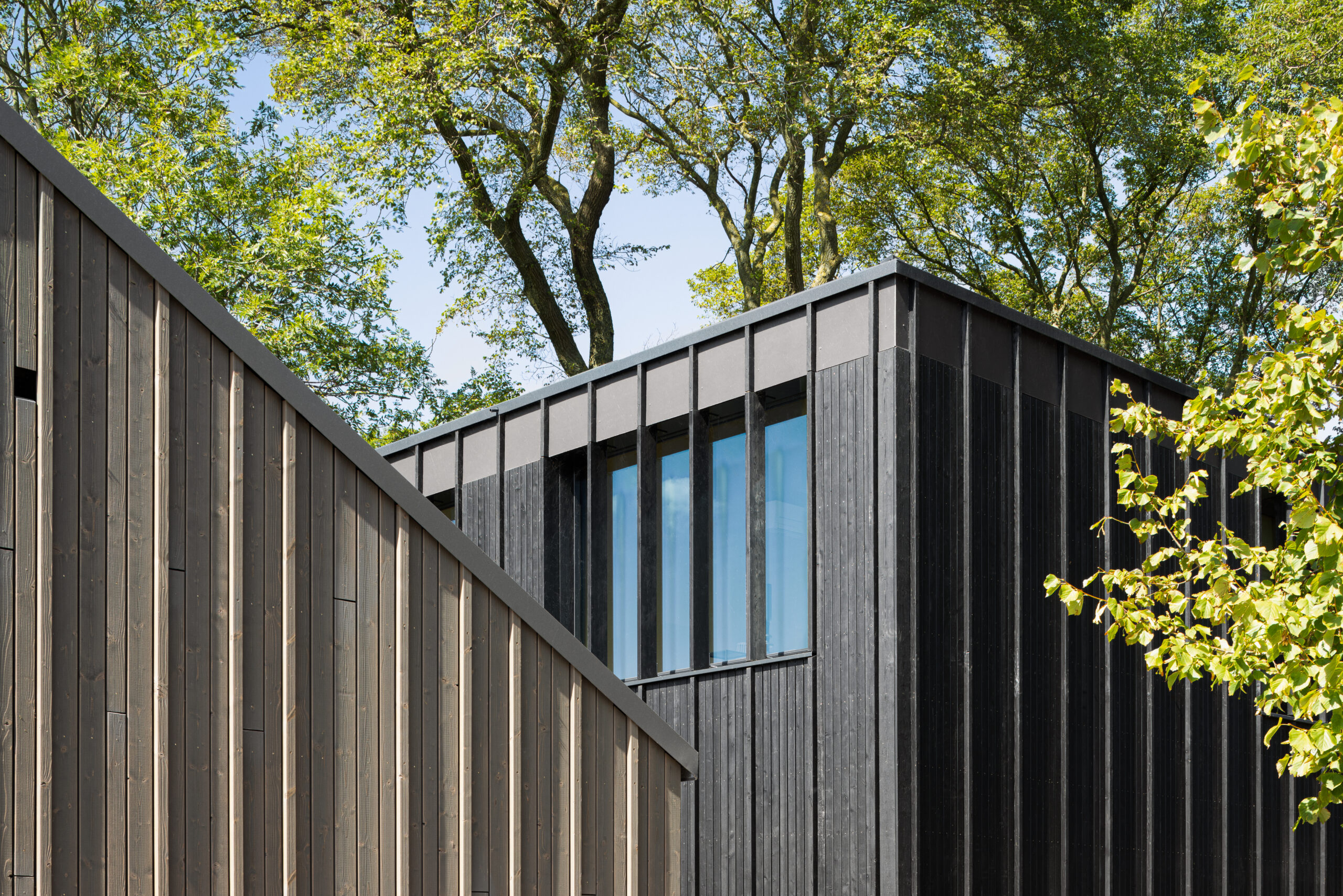 Beeld Stijn Poelstra