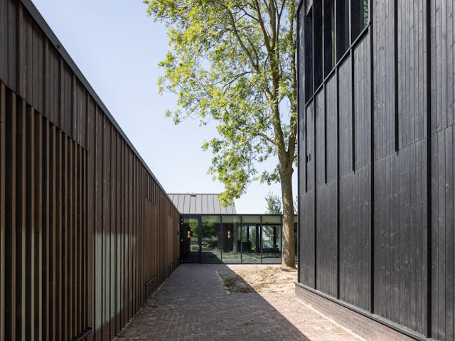 Beeld Stijn Poelstra