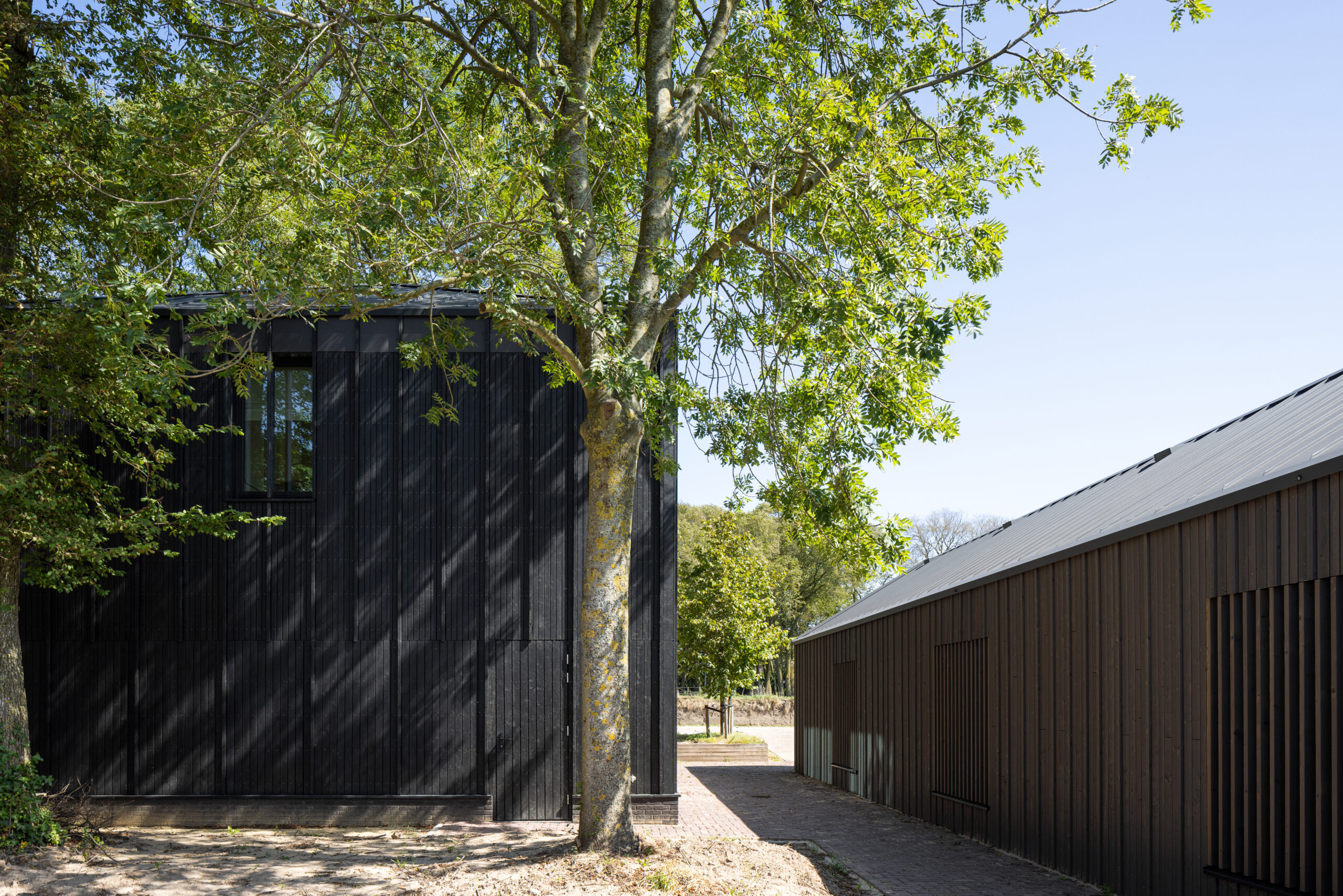 Beeld Stijn Poelstra