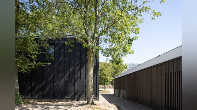 Beeld Stijn Poelstra