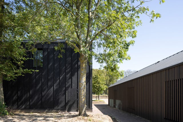 Beeld Stijn Poelstra